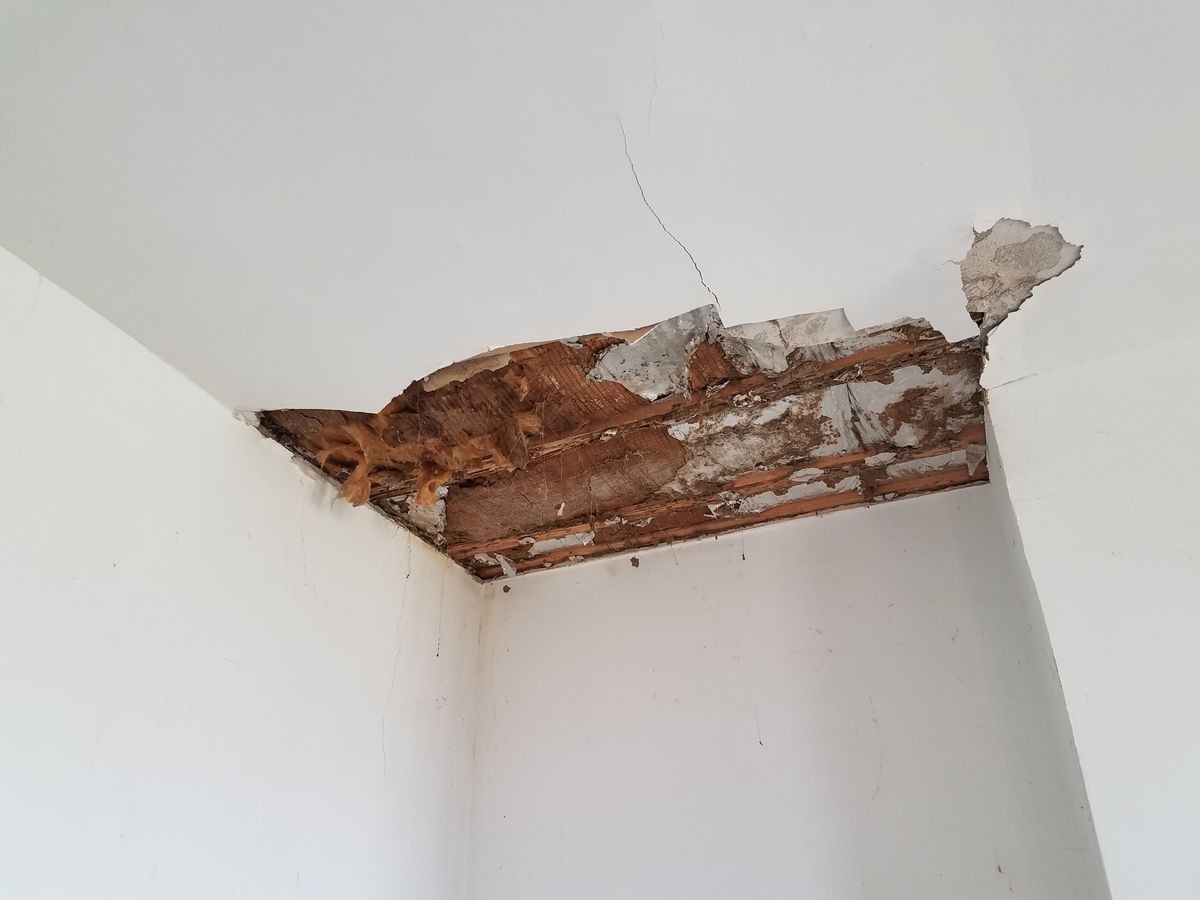 drywall and ceiling damage